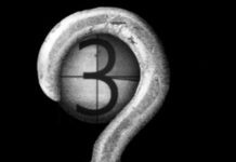 Movie Piracy Is On The Rise Again. Streaming Is To Blame