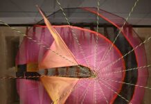 This Year’s Whitney Biennial Reflects The Chaotic Precariousness Of Now