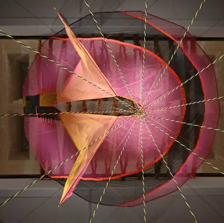 This Year’s Whitney Biennial Reflects The Chaotic Precariousness Of Now