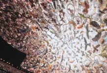 Hundreds Of Immersive Art Experiences Are Changing The Art World