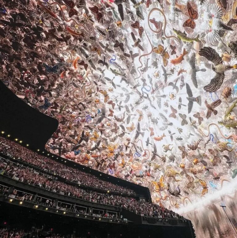 Hundreds Of Immersive Art Experiences Are Changing The Art World