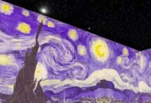 Are Those Immersive Van Gogh Shows Just A Money Grab?