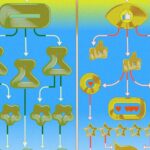 How Algorithmic Curation Has (Is) Changing Culture