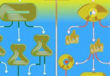 How Algorithmic Curation Has (Is) Changing Culture