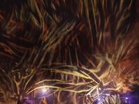 Tokyo’s Favorite High-Tech Art Collective Reopens Its Flagship Space, Now More Immersive Than Ever