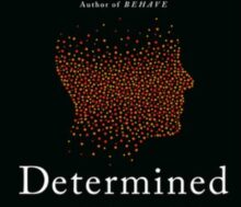 Reconsidering Whether We Have Free Will