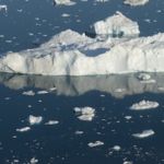 Can We Still Write Good Climate Fiction If We’re In Despair?