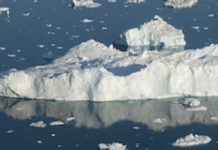 Can We Still Write Good Climate Fiction If We’re In Despair?