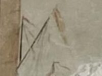 Previously Unknown Cézanne Mural Uncovered In His Childhood Home