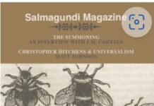 Struggling With What Art Is For. But Why?