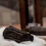 AI Is Letting Us Read Ancient Scrolls At Herculaneum For The First Time