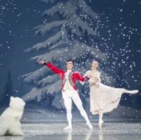 Royal Winnipeg Ballet Asks Patrons Not To Use Ticket Sites After Scams