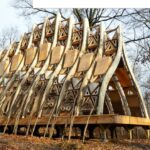 This House Is Being Built By Living Trees