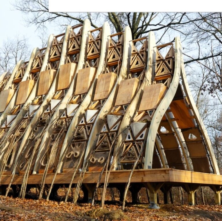 This House Is Being Built By Living Trees