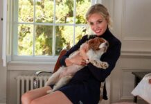 How Anna Weyant Became The Art World’s “It” Artist