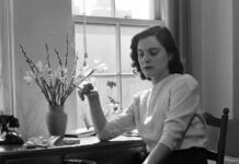 The Literature That Explains The Messiness Of Higher Education