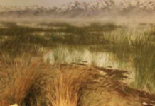 Oregon Finally Passed Some Arts Funding, But Left A Major Museum And Most Smaller Organizations Out