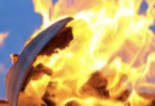 Book Ban Fans Are Targeting Public Libraries In Different Ways Than School Libraries