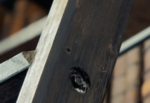 Stop Trying To ‘Keep Up’ With Books