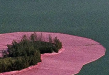 The Glorious Possibilities Of Public Art