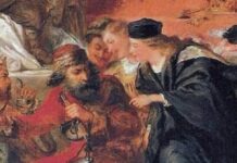 Examining Shakespeare’s Words