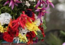 UNESCO Talks About Protecting Intangible Cultural Heritage