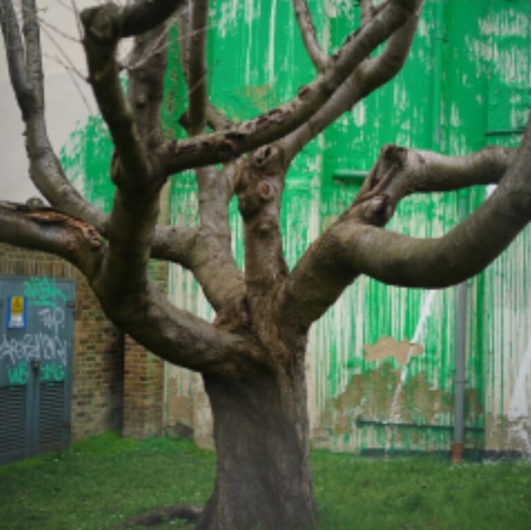 Banksy Tree Mural Defaced With White Paint Days After It Appeared