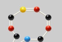 What AI Is Learning About What Life Is