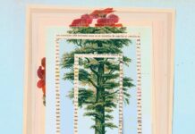 Gabriel GarcÃa Márquez Didn’t Want His Last Book Published. This Week It Was. Is That OK?