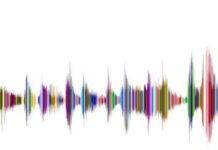 The Evolutionary Roots Of Our Attraction To Music