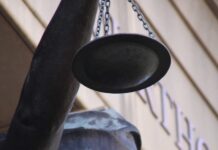 Can Literature Shape Law?