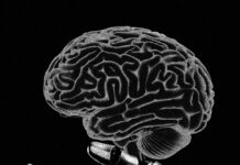 If Our Tools Shape Us, How Will AI Change Us?