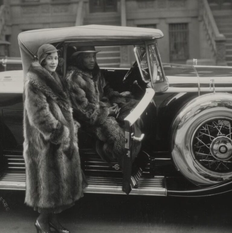 The Ideas Behind The Harlem Renaissance