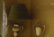 The Gang That Targeted The United States’ Small Museums