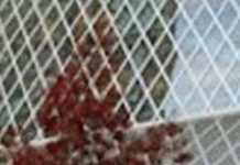 Why Are Seattle Libraries Announcing 1,500 Hours Of Closures In Eight Weeks?