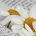 As ‘Ecofiction’ Hits Its First Official Decade, Here Are Some Of Its Best Examples