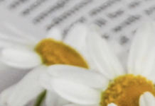 As ‘Ecofiction’ Hits Its First Official Decade, Here Are Some Of Its Best Examples