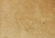 The Very Dark Side Of The Rare Book World