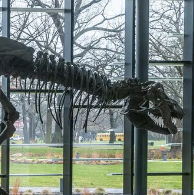 Natural History Museums Get A Redesign