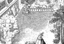 Genius Versus Hierarchies And Freedom