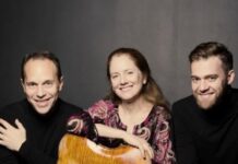 St. Lawrence String Quartet To Call It Quits