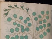 Is The Voynich Manuscript, Undeciphered For 600 Years, Actually About Gynecology?