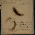 Tests Of Beethoven’s Hair Indicate Astounding Levels Of Lead And Arsenic