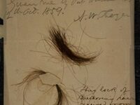 Tests Of Beethoven’s Hair Indicate Astounding Levels Of Lead And Arsenic