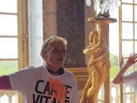 The Art Vandals Who Threw Soup At Mona Lisa Strike The Hall of Mirrors At Versailles