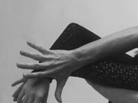 Is The Australian Ballet Fighting Back Against Body-Shaming? Or Just Being Pissy About A Very Negative Review?