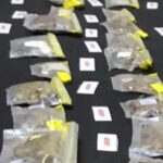 Turkey Arrests Curator At American Museum Of Natural History For Allegedly Smuggling Dead Spiders And Scorpions