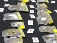 Natural History Curator Cleared Of Spider- and Scorpion-Smuggling In Turkey