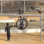 When They’re Done Right, Playgrounds Are For Everybody