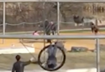 When They’re Done Right, Playgrounds Are For Everybody